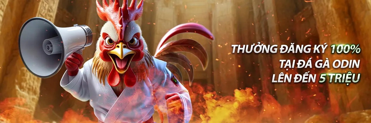 Giao diện đăng nhập Win55 với ưu đãi 58K