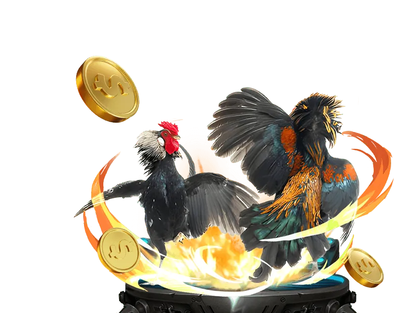 Tỷ lệ cược đá gà hấp dẫn Win55